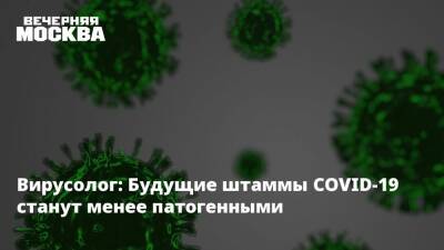 Михаил Щелканов - Вирусолог: Будущие штаммы COVID-19 станут менее патогенными - vm.ru - Россия