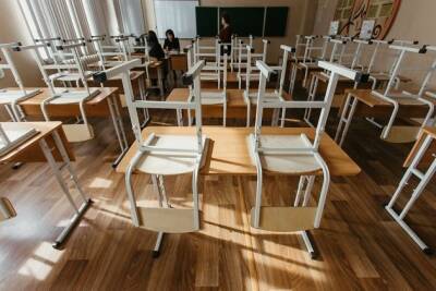 Ввели ли дистанционку в школах Забайкалья — опрос «Чита.Ру» - chita.ru - Чита