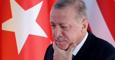 Реджеп Тайип Эрдоган - Эрдоган заявил, что вместе с супругой заразился коронавирусом - profile.ru - Турция