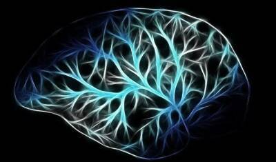 В мозгу больных ковидом обнаружили структуры, напоминающие болезнь Альцгеймера - newizv.ru - Колумбия