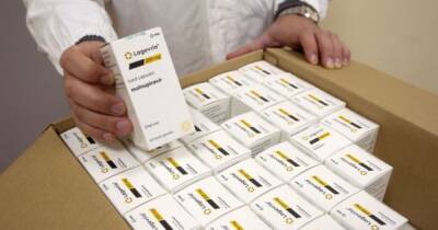 Виктор Ляшко - В Украину прибыла первая партия противоковидных лекарств "Молнупиравир" - dsnews.ua - Украина - Сша - Англия - Япония - Минздрав