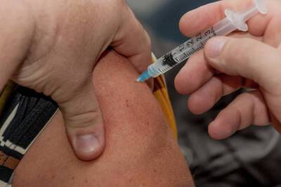 Привитых Спутником V в Австрии обяжут вакцинироваться еще раз - mk.ru - Вена - Евросоюз - Австрия