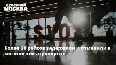 Дмитрий Горин - Более 30 рейсов задержали и отменили в московских аэропортах - vm.ru - Россия - Москва - Таиланд