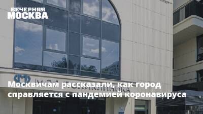 Москвичам рассказали, как город справляется с пандемией коронавируса - vm.ru - Москва