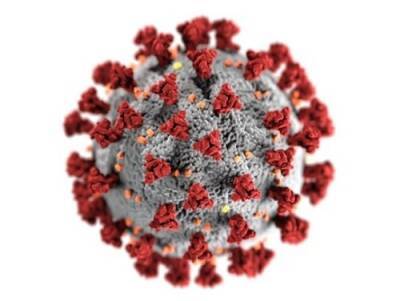 Нелли Соседова - Врач назвала штамм коронавируса, который последует за "омикроном" - newsland.com