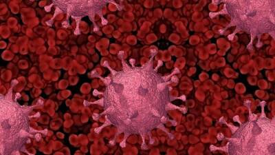 Коронавирус оказался безопасен для мужской фертильности - inforeactor.ru - Россия