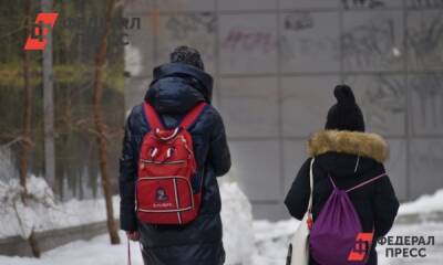 Родителям екатеринбургских школьников сообщили о продлении дистанта - fedpress.ru - Екатеринбург