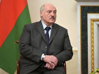 Александр Лукашенко - «Я никого туда не посылал»: Лукашенко опроверг отправку белорусских военных в Сирию, но готов послать врачей - rosbalt.ru - Россия - Сирия - Белоруссия - Президент