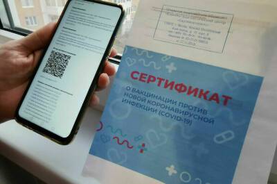 С 21 февраля в России можно будет получить QR-код после теста на антитела - pnp.ru - Россия