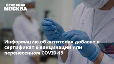 Надежда Чернышова - Информацию об антителах добавят в сертификат о вакцинации или перенесенном COVID-19 - vm.ru - Россия - Москва