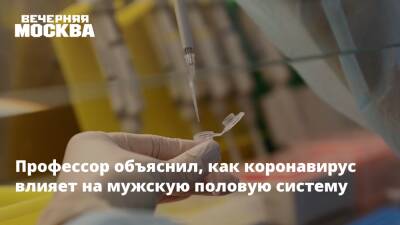 Дмитрий Еникеев - Профессор объяснил, как коронавирус влияет на мужскую половую систему - vm.ru - Москва