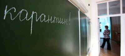 В Карелии школьные классы продолжают переводить на дистант из-за ОРВИ и коронавируса - stolicaonego.ru - республика Карелия