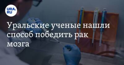 Уральские ученые нашли способ победить рак мозга - ura.news - Россия - Уральск