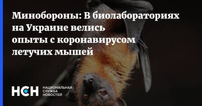 Игорь Конашенков - Минобороны: В биолабораториях на Украине велись опыты с коронавирусом летучих мышей - nsn.fm - Россия - Украина - Сша