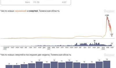 В Тюменской области наблюдается спад заболеваемости COVID-19 - nashgorod.ru - Россия - Тюменская обл.