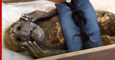 Ученые впервые проанализируют 300-летнюю "мумию русалки" - profile.ru - Япония
