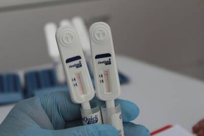 Жительницам Новосибирска начнут доставлять бесплатные тесты на ВИЧ и гепатит С - tayga.info - Россия - Новосибирск - Пресс-Служба