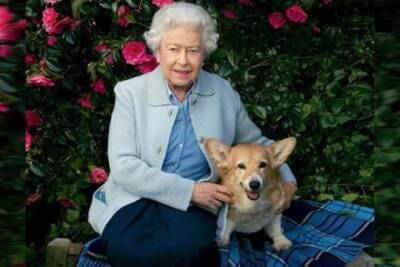 королева Елизавета II (Ii) - принц Чарльз - принц Уильям - принц Филипп - Елизавета Королева - Королева Елизавета II перестала выгуливать собак из-за слабого здоровья - versia.ru - Англия