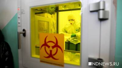 Зоя Осколкова - В Китае «стелс-омикрон» вызвал сильнейшую вспышку коронавируса - newdaynews.ru - Китай