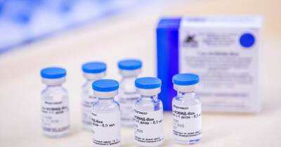 В ЕС приостановили сертификацию вакцины "Спутник V" - rus.delfi.lv - Россия - Украина - Амстердам - Латвия