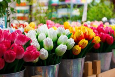 Как выбрать свежие цветы к празднику - afanasy.biz - Россия - Тверь