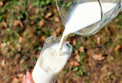 Ученые нашли пагубную связь между молоком и атеросклерозом - online47.ru