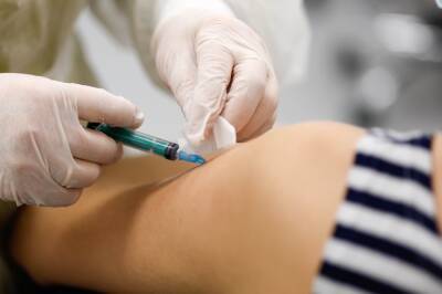 На Ставрополье отменили обязательную вакцинацию от коронавируса для ряда категорий - etokavkaz.ru - Ставрополье край