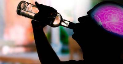 Ученые из США нашли связь между употреблением алкоголя и объемом мозга - ren.tv - Сша