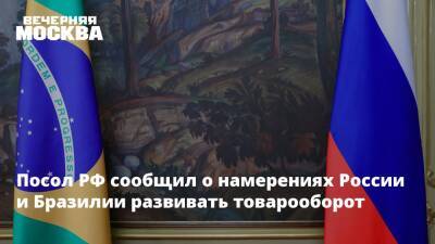 Владимир Путин - Посол РФ сообщил о намерениях России и Бразилии развивать товарооборот - vm.ru - Россия - Москва - Бразилия