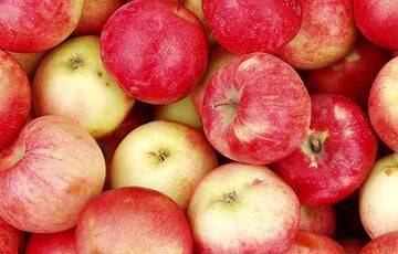 Люсия Гарсия - Врачи выяснили, что случится с организмом, если каждый день съедать по яблоку - charter97.org - Белоруссия