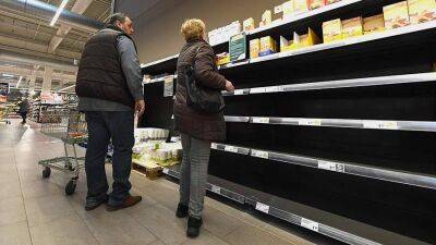 Продовольственные союзы ФРГ предупредили о риске нехватки продуктов питания - smartmoney.one - Украина - Германия - Берлин