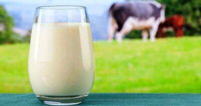 Производство сырого молока в Китае достигнет 36 млн тонн в 2022 году - produkt.by - Сша - Китай