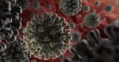 Адан Гебреисус - Пандемия коронавируса завершится нескоро, — глава ВОЗ - dsnews.ua - Франция