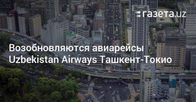 Возобновляются авиарейсы Uzbekistan Airways из Ташкента в Токио - gazeta.uz - Узбекистан - Токио - Ташкент