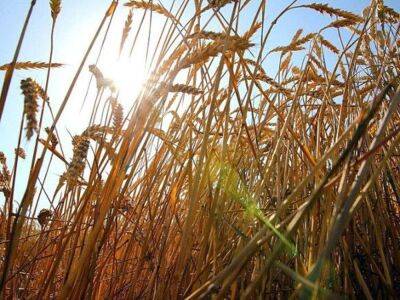 Джон Байден - Reuters: ЕС может разморозить часть ресурсов российских банков, чтобы вернуть на рынки пшеницу и удобрения - smartmoney.one - Россия - Украина - Сша