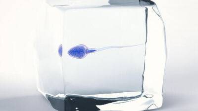 В Израиле начали замораживать сперму больным и здоровым: кому это нужно - vesty.co.il - Россия - Израиль
