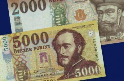 Экономический кризис. Венгрия разрешила компаниям платить налоги в евро и долларах - minfin.com.ua - Россия - Украина - Будапешт - Венгрия - Брюссель