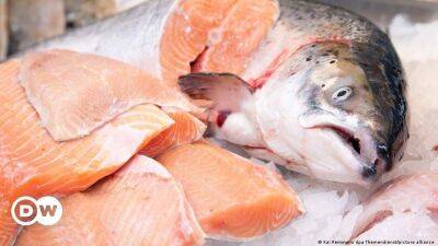 Рыба вместо мяса. В пандемию немцы чрезвычайно увлеклись морепродуктами - smartmoney.one - Германия