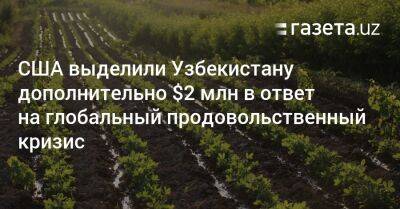 США выделили Узбекистану дополнительно $2 млн в ответ на глобальный продовольственный кризис - gazeta.uz - Сша - Узбекистан - Ташкент
