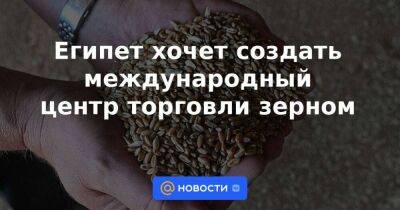 Египет хочет создать международный центр торговли зерном - smartmoney.one - Россия - Украина - Египет