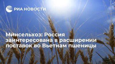 Левин заявил, что Россия заинтересована в расширении поставок во Вьетнам пшеницы - smartmoney.one - Россия - Китай - Вьетнам - Владивосток