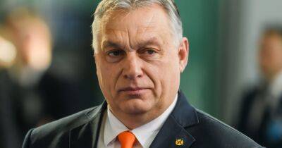Дональд Трамп - Виктор Орбан - Новая "холодная война": Орбан призвал дружить с врагами Запада - dsnews.ua - Сша - Китай - Венгрия