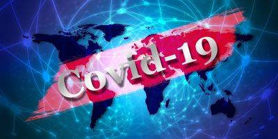 Какой была реакция правительств и общества на пандемию Covid-19 - koronavirus.center
