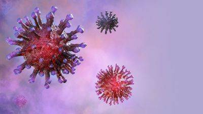 Почему возник коронавирус? Самые распространенные теории - koronavirus.center