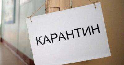 Тарас Мельничук - Кабмин продлил до июля карантин через COVID-19 - dsnews.ua - Украина