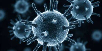 Не коронавирус. Американские ученые выяснили, какие вирусы были самыми смертоносными в истории человечества - nv.ua - Украина - Сша