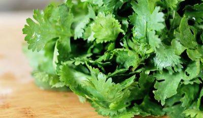 Выведет токсины и шлаки: этот чудо-напиток поможет очистить организм после новогодних праздников - hyser.com.ua - Украина