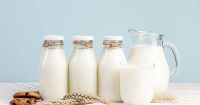Полезно или вредно: 8 развенчанных мифов о молоке - focus.ua - Украина