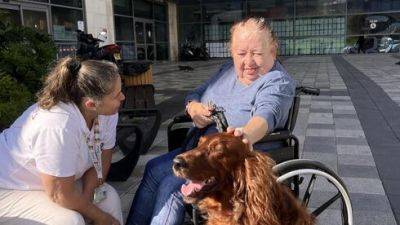 В больнице "Ха-Эмек" приняли на работу трех собак - vesty.co.il - Израиль