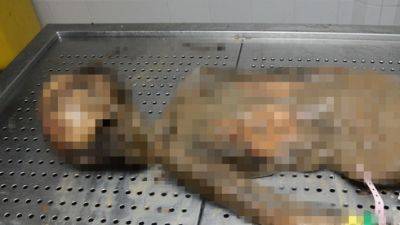 Израиль покажет в Гааге расчлененное тело ребенка, убитого ХАМАСом - vesty.co.il - Гаага - Израиль - Юар - Тель-Авив